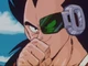 Raditz2