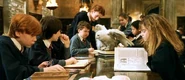 Hedwig at the Great Hall (1991)