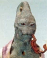 Adarian-CSWE.jpg