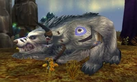 Killinger the Den Watcher new