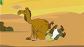Tdtm chef head camel butt.png