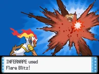 DPEnvite igneo