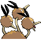 Dodrio espalda G4 hembra