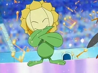 EP518 Sunflora