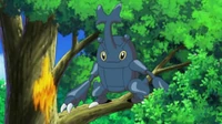 EP607 Heracross