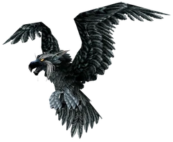 Raven
