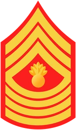 USMC-E9-MGyS