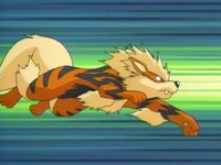 EP430 Arcanine