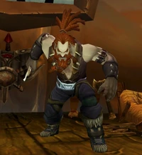 Image of Dragonflayer Rune-Seer