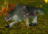 Image of Diseased Young Wolf