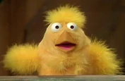 Robinchicken