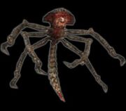 Infestant