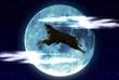 Invinciblemoon