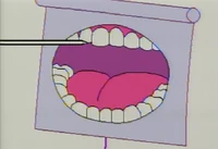 AMBabyTeeth