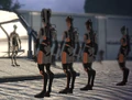 Virmire salarians.png