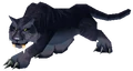 Panther.png