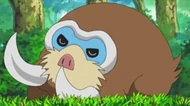 EP592 Mamoswine durmiendo