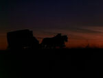Wagonsunset2