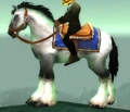 White Stallion.jpg