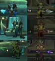 Wyrmrest Protectors.jpg
