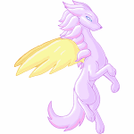 Kangur light.gif