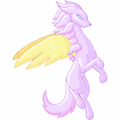 Kangur light.gif