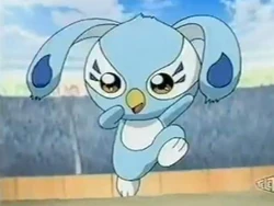 Wontu Aquos.jpg