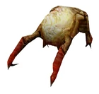 headcrabs