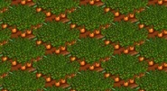 Carrot2