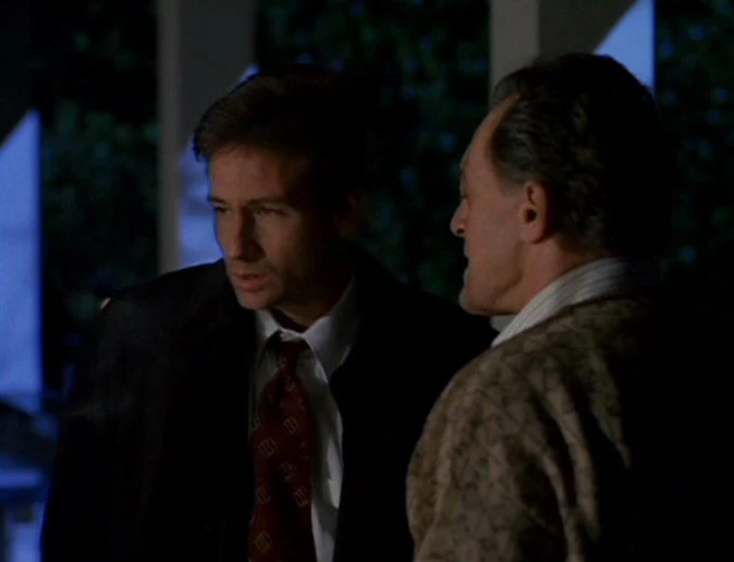 William Mulder XFiles Wiki David Duchovny, Gillian Anderson