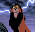 Scar4.jpg
