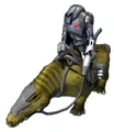 B2 Orray Trooper.jpg