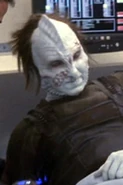 Xantoras victim 1