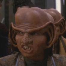 Grimp