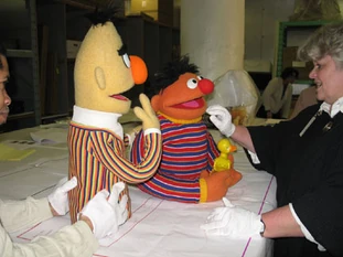 Bonnieericksonberternie
