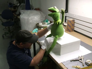 Danielfieldingkermit