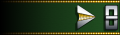 Uniform insignia.