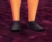 Calico Shoes