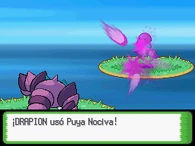 DP puya nociva