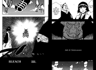 Bleach cover 333