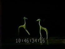 Unima1980 14