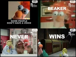BeakerNeverWins