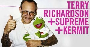 Terrykermit