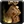 Inv shoulder 81