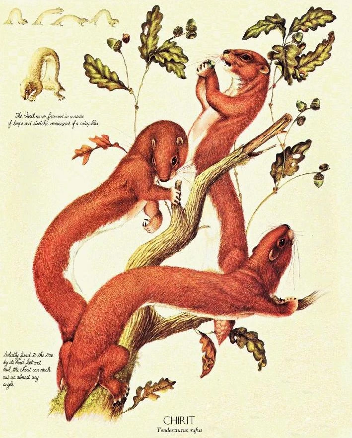 Image After Man Chirit.jpg Speculative Evolution Wiki