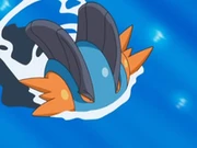 EP578 Swampert nadando