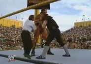 Undertaker WM 9
