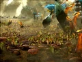 FeluciaLandscape-ROTS.jpg