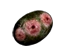 Giant Spore