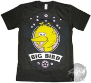 Coastal-bigbirdwings